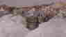 item-92556608=14