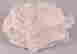 item-92556608=15
