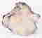 item-92556608=6