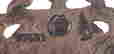 item-92556610=13