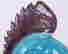 item-92556902=10