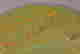 item-94470696=10