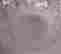 item-94470700=12