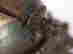 item-94470728=4