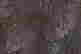 item-94470738=10