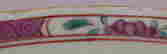 item-94470756=19