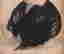 item-94470761=4