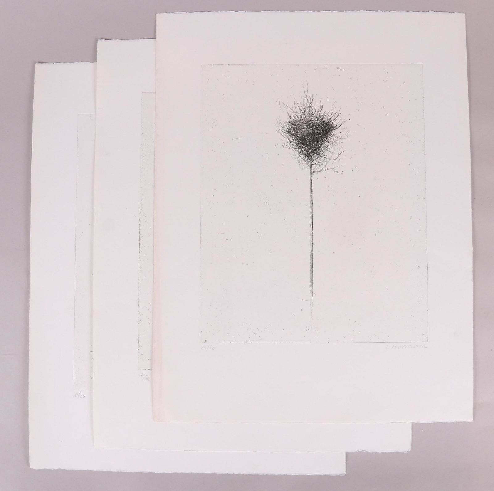Leo Zogmayer (b.1949) Three Etchings: Three untitled works, each pencil signed and from an edition of 50. Dimensions: Each is 26" x 20".