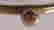 item-102692116=5