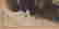 item-102692125=7
