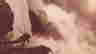 item-105022152=5