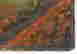 item-105022158=3