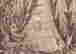 item-105022159=3