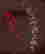 item-105022177=7