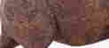 item-105022183=8