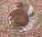 item-105022190=4