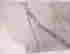 item-105022495=4