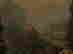 item-105235001=4