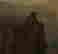 item-105235001=5