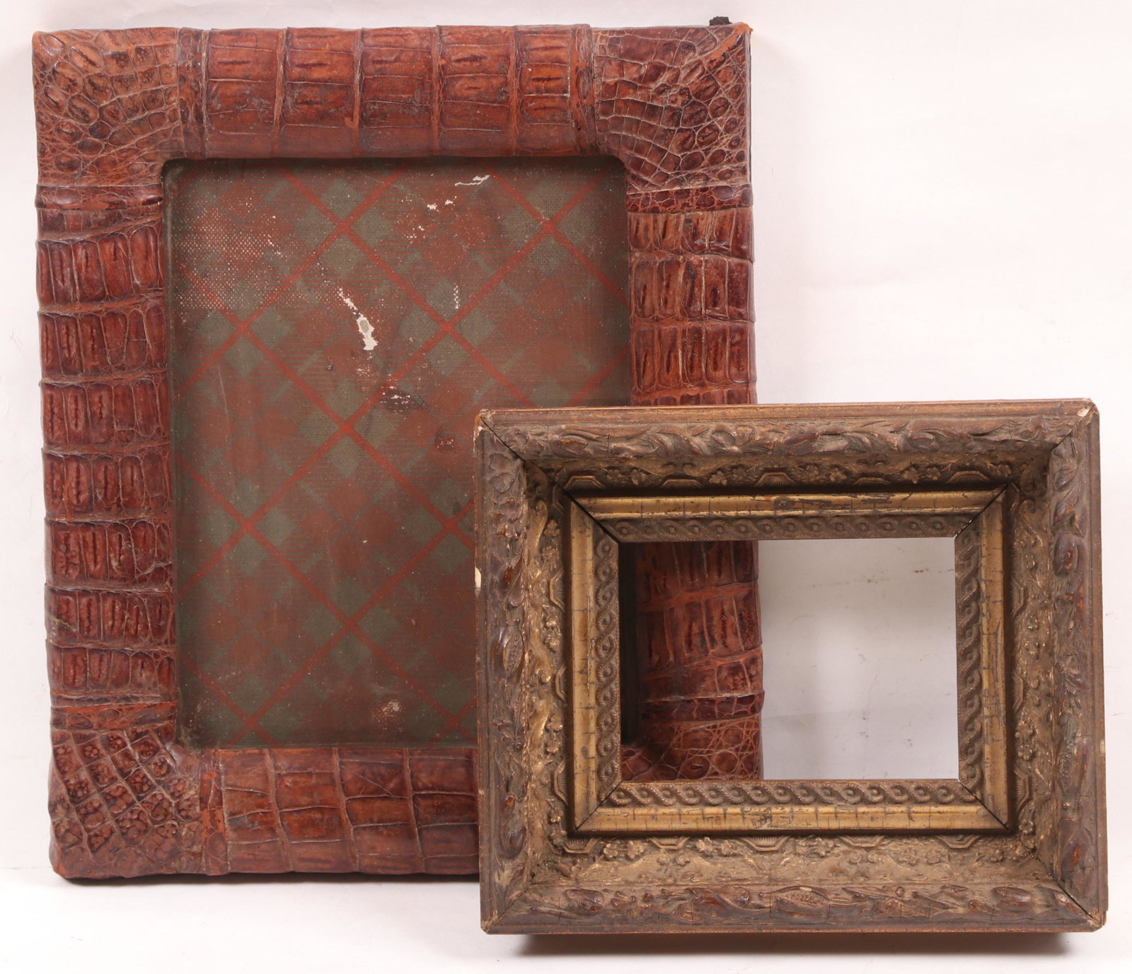 Two Picture Frames, One Alligator (1 of 10)