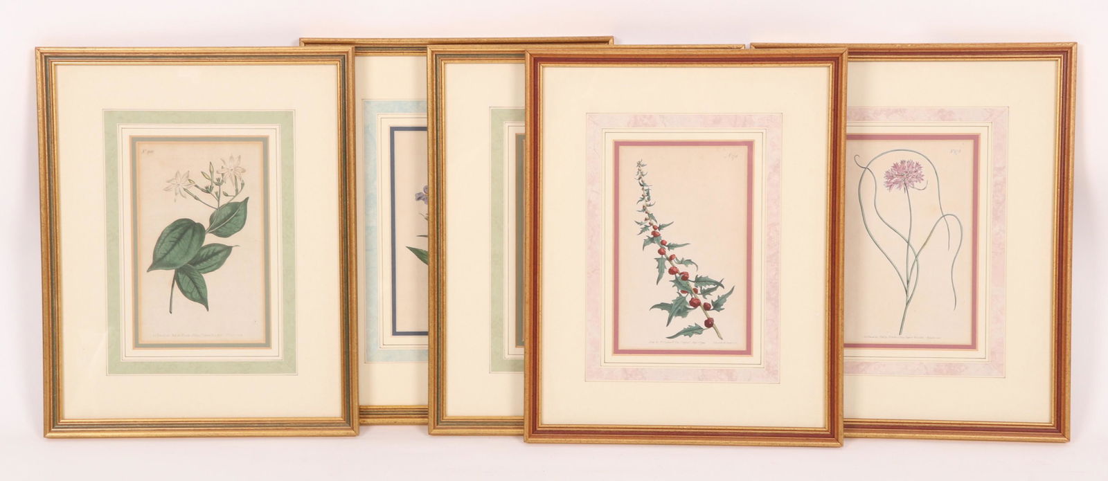 Five 18th Century Curtis Hand Colored Botanical (1 of 11)