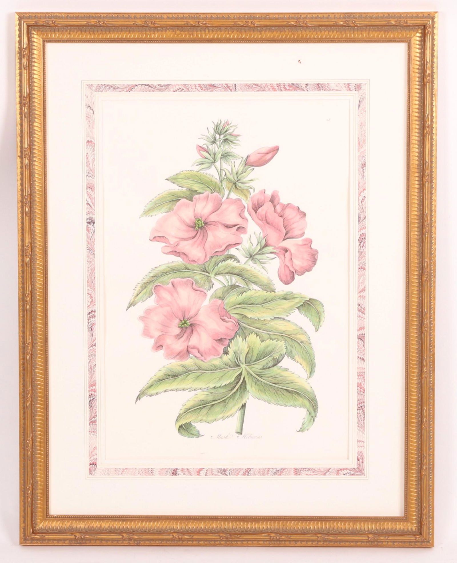 A Large Botanical Print (1 of 5)