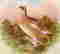 item-122503216=10