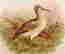 item-122503216=12