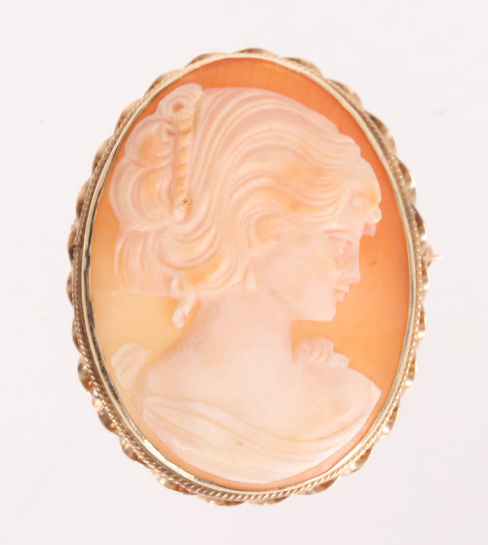 A 14k Gold and Shell Cameo Pin/Pendant (1 of 4)