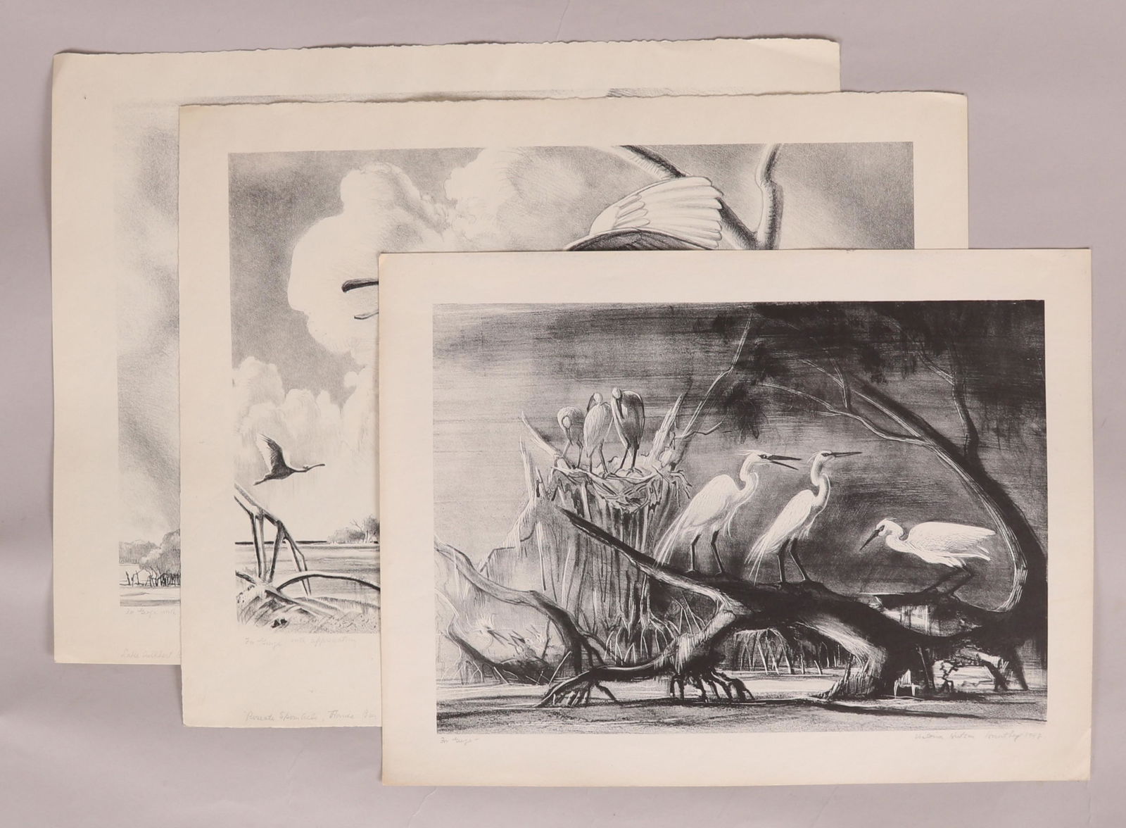 Victoria Hutson Huntley, Three Lithographs (1 of 11)