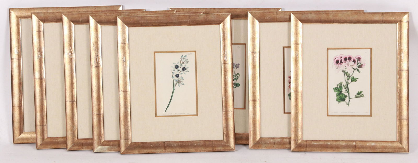 A Group of Botanical Prints, English (1 of 18)