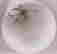 item-130191706=6