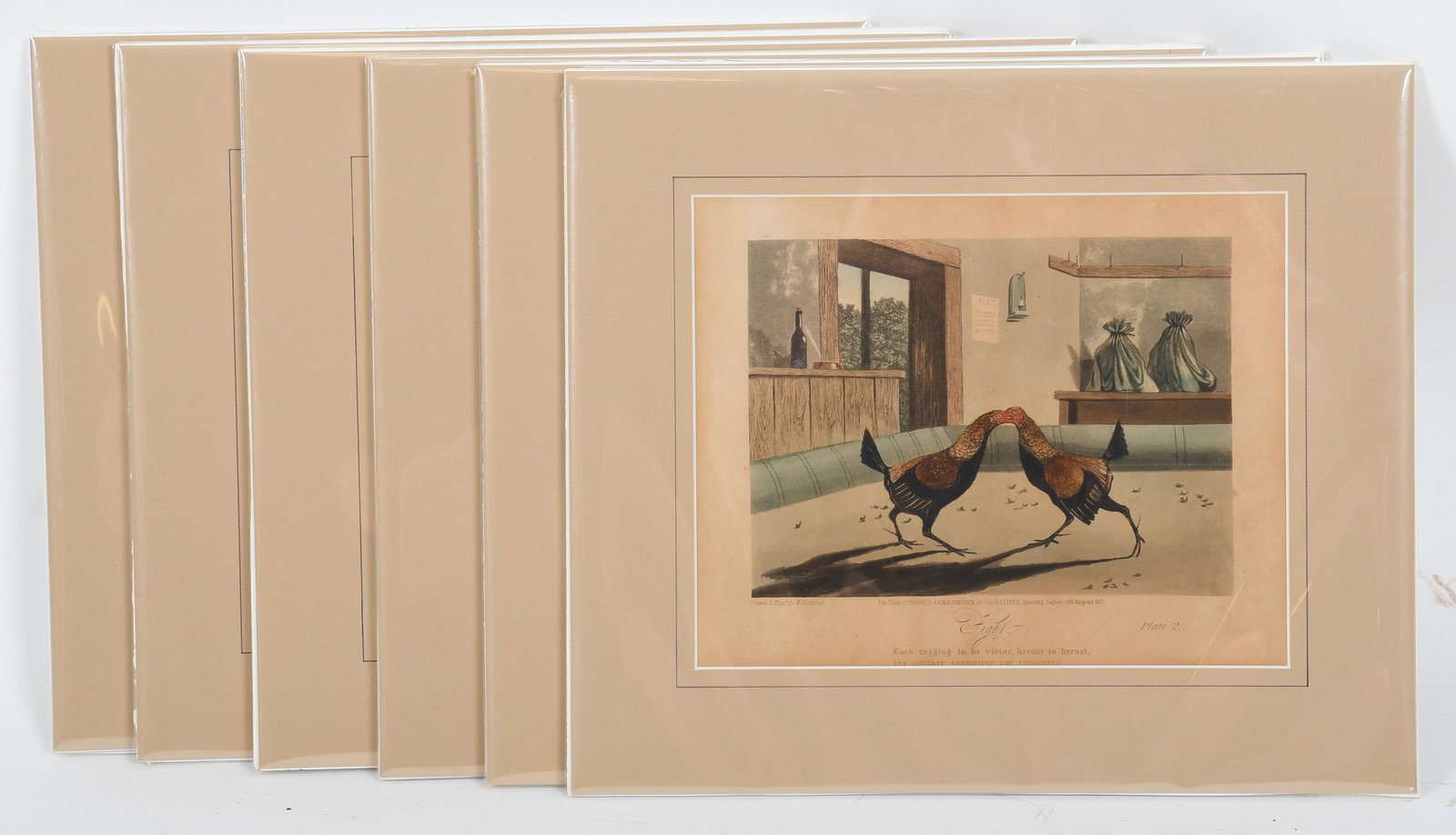 Six Cockfighting Prints, 19th Century (1 of 12)