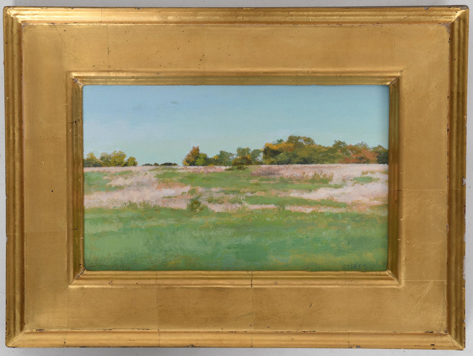 Midge Stires (20th Century) Acrylic on Canvas (1 of 5)