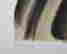 item-137462635=5