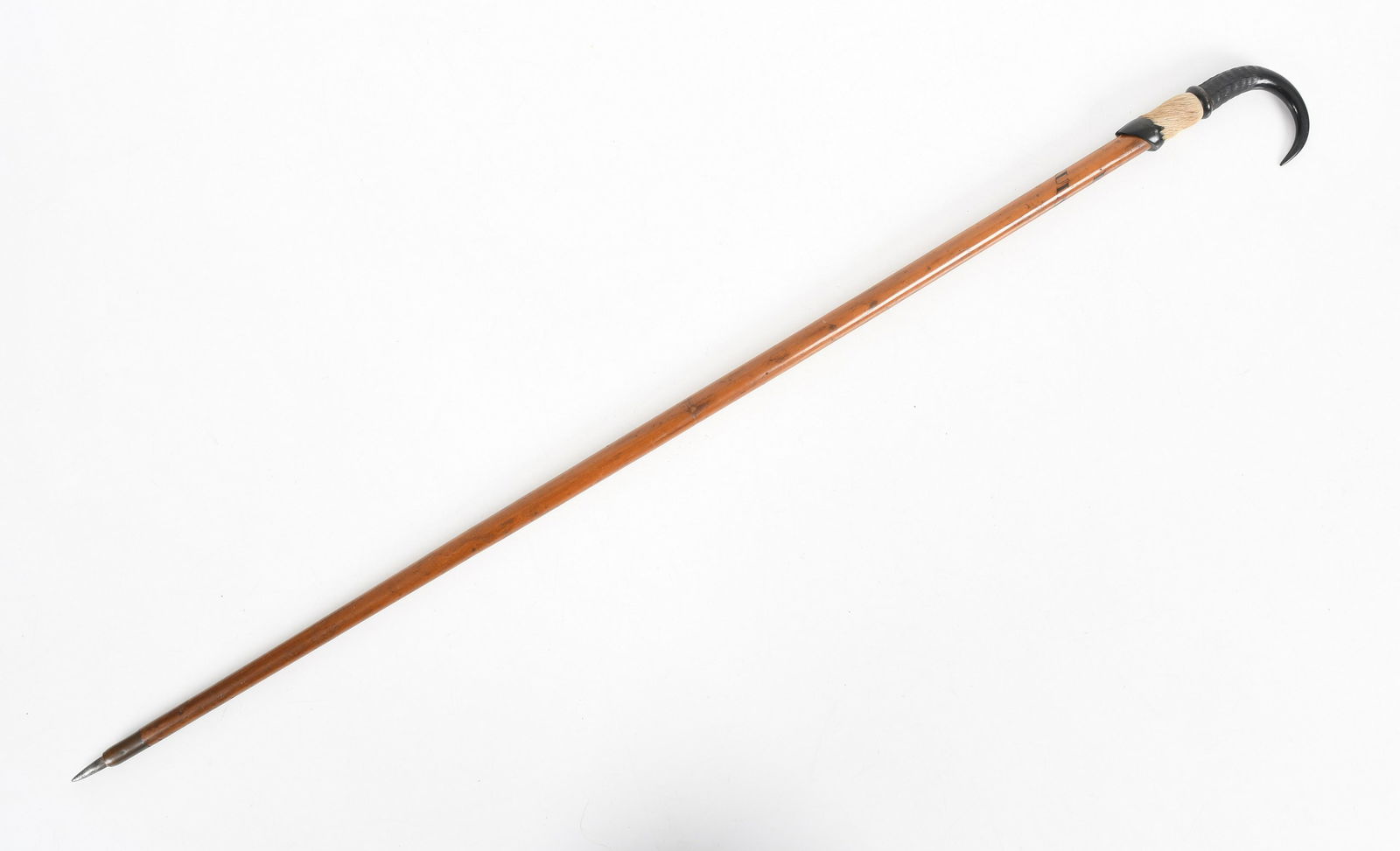A 19th Century Swiss Walking Stick, Mt. Rigi (1 of 6)