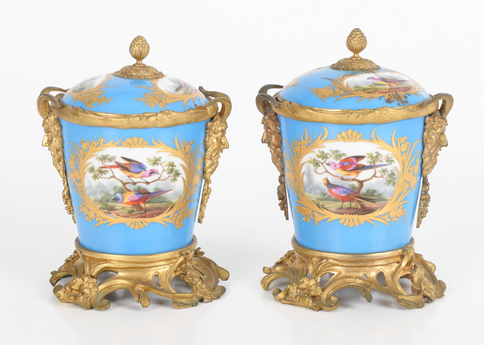Pair of Sevres Style Porcelain Covered Urns (1 of 12)