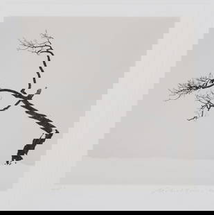 Michael Kenna (English, Born 1953) Toned Silver Print Photograph: Michael Kenna (English, Born 1953) Toned Silver Print Photograph, Kussharo Lake Tree, Study 6, Kotan, Hokkaido, 2007. Pencil signed and numbered 4/45. With Robert Mann Gallery tag affixed verso.&