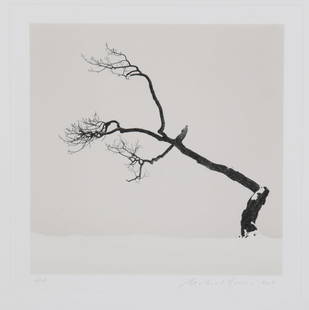 Michael Kenna (English, Born 1953) Toned Silver Print Photograph: Michael Kenna (English, Born 1953) Toned Silver Print Photograph, Kussharo Lake Tree, Study 6, Kotan, Hokkaido, 2007. Pencil signed and numbered 4/45. With Robert Mann Gallery tag affixed verso.&