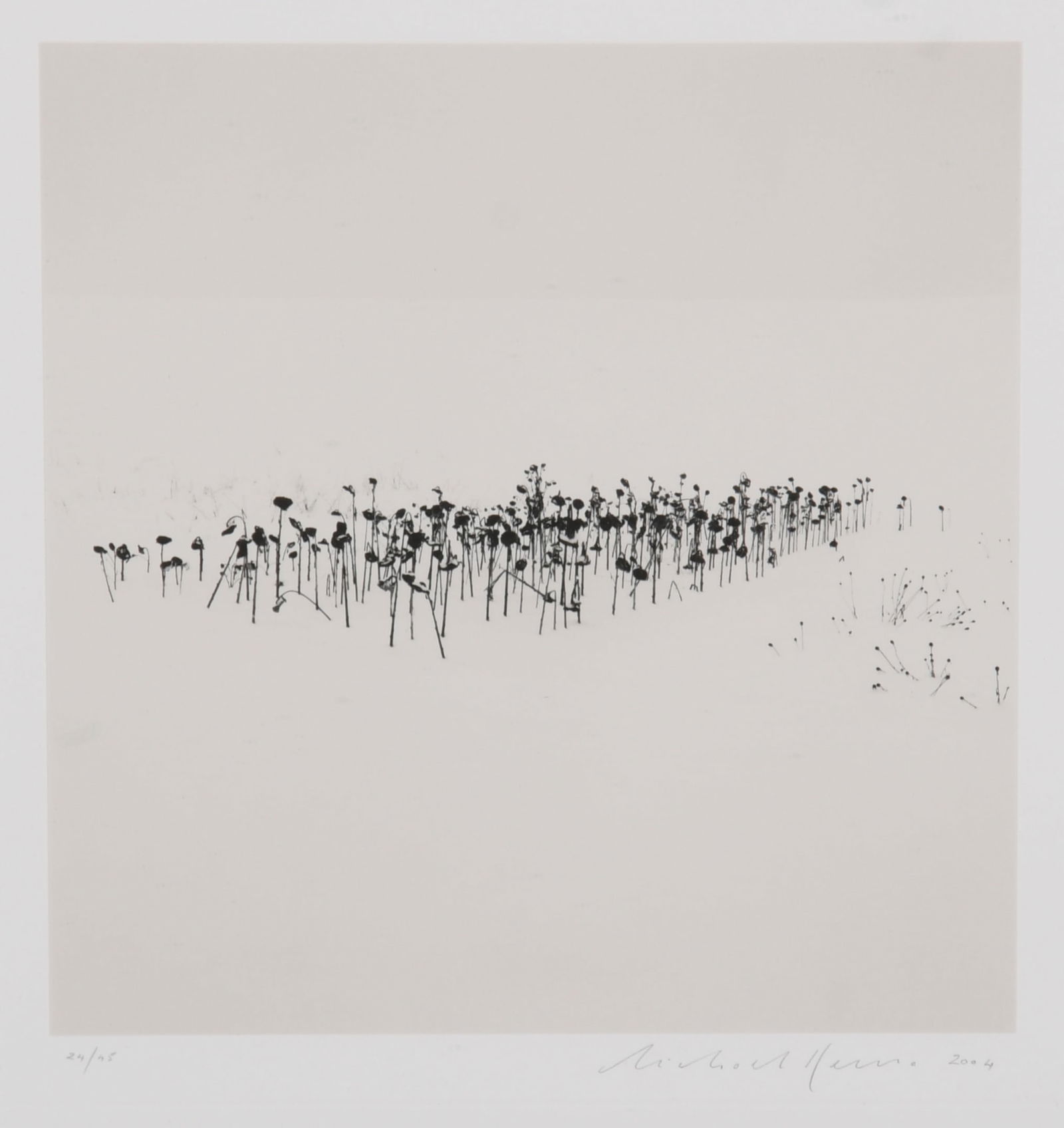 Michael Kenna (English, Born 1953) Toned Silver Print Photograph: Michael Kenna (English, Born 1953) Toned Silver Print Photograph, Sunflowers, Sanai Hokkaido, Japan, 2004, pencil signed and numbered 25/45. With Robert Mann Gallery tag affixed verso. Dimension
