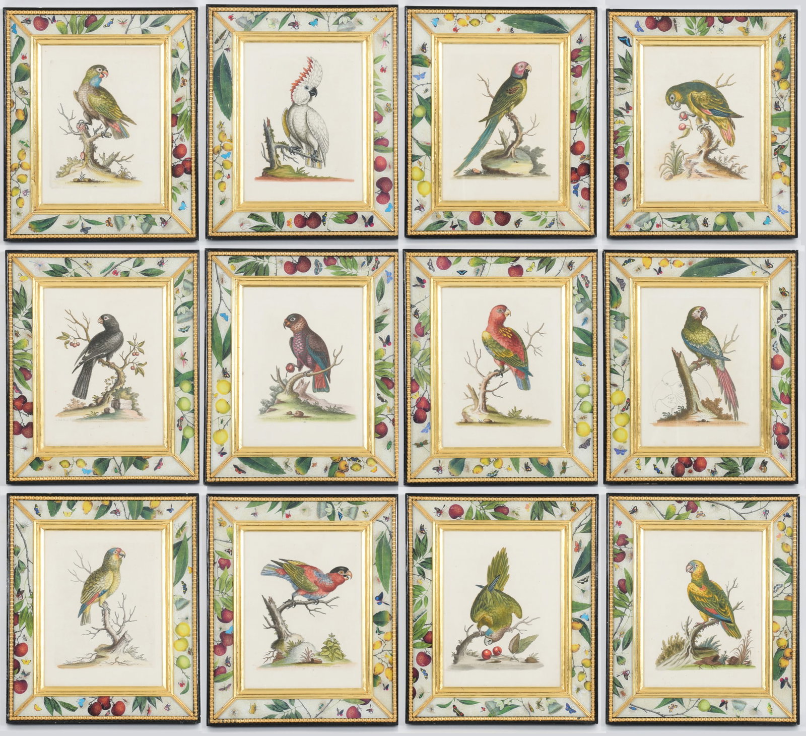 Set of Twelve Hand-Colored Engravings, George Edwards, Circa 1740 (1 of 19)