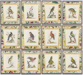 Set of Twelve Hand-Colored Engravings, George Edwards, Circa 1740