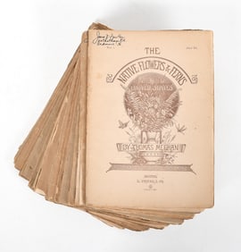 The Native Flowers and Ferns of the United States By Thomas Meehan