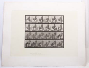 Eadweard Muybridge (1830 - 1904), Collotype, Hauling Billy