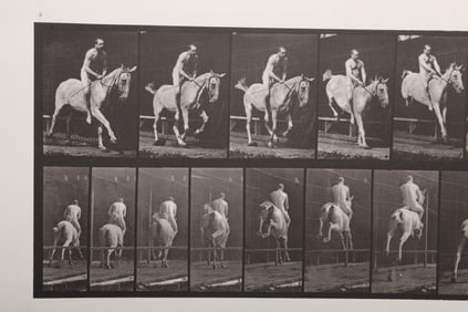 Eadweard Muybridge (1830 - 1904), Collotype, Bareback Rider