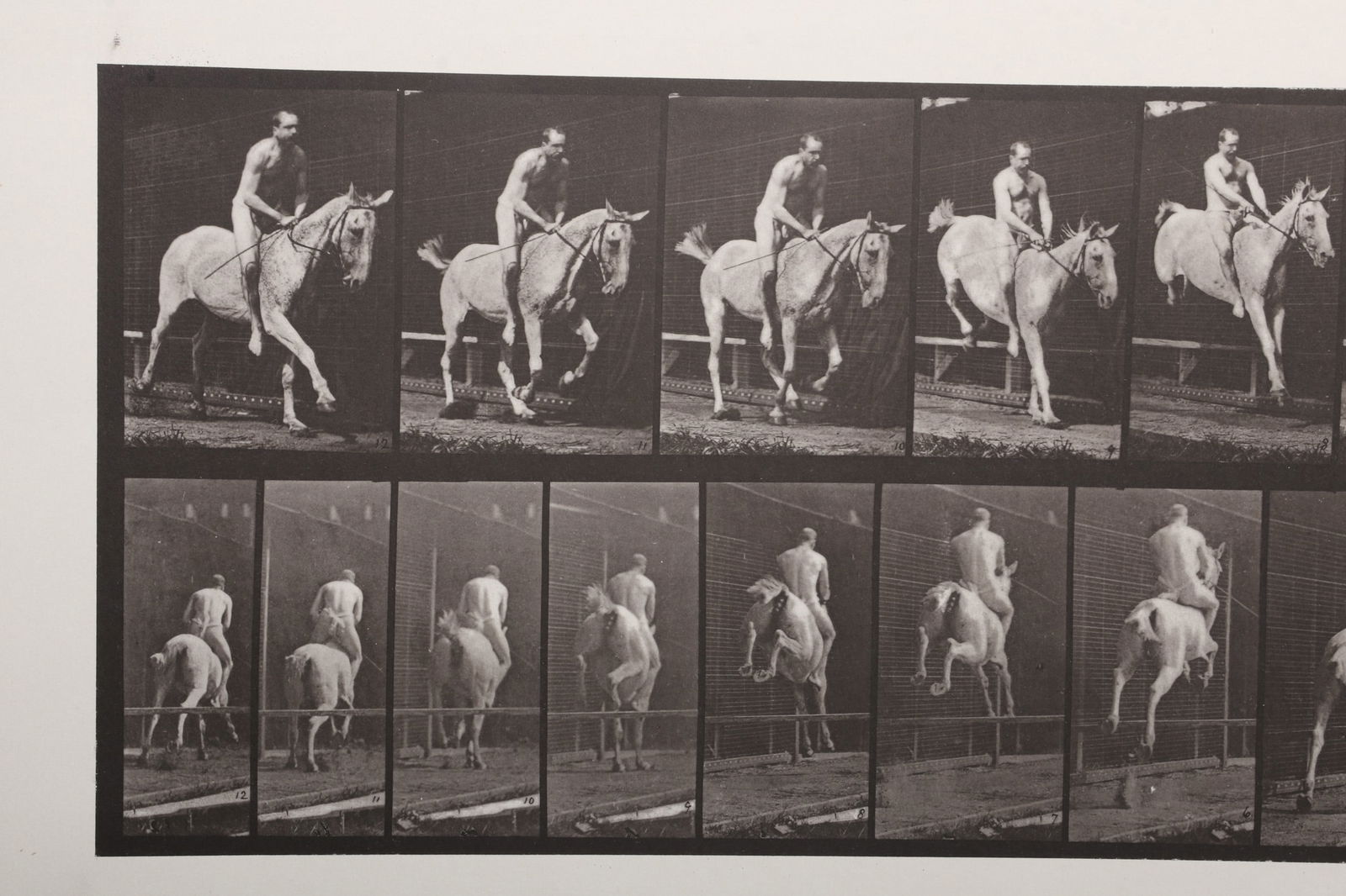Eadweard Muybridge (1830 - 1904), Collotype, Bareback Rider (1 of 4)