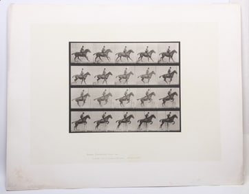 Eadweard Muybridge (1830 - 1904), Collotype, Jumping a Hurdle