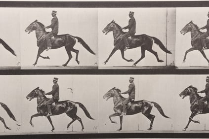 Eadweard Muybridge (1830 - 1904), Collotype
