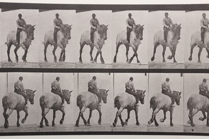 Eadweard Muybridge (1830 - 1904), Collotype, Trotting