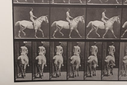 Eadweard Muybridge (1830 - 1904), Collotype, Trotting: Plate 603